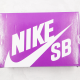 Nike Dunk SB Pro "SPECTRUM" -