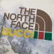 Gucci x The North Face x Gucci T-shirt - uafactory