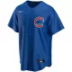 Men's Chicago Cubs Nike Royal Alternate Replica Team Jersey - uafactory