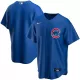 Men's Chicago Cubs Nike Royal Alternate Replica Team Jersey - uafactory